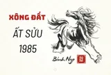 Tuổi xông đất năm 2026 cho gia chủ sinh năm 1985 0