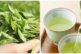 Thời điểm uống nước trà xanh tốt nhất cho sức khỏe