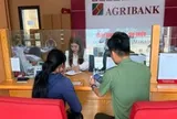 Người phụ nữ SN 1991 đến chi nhánh ngân hàng Agribank rút 26 triệu đồng, giao dịch viên đang làm thủ tục phải vội báo công an