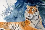 Tháng 5: 4 con giáp có cơ hội tăng thu nhập rõ rệt - nhưng chỉ giữ được tiền nếu biết 3 nguyên tắc này
