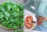 Loại rau có vị nhớt khó ăn nhưng lại được coi là "nữ hoàng" giải nhiệt mùa hè: Có 5 nhóm người tốt nhất đừng ăn nhiều