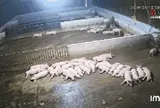 Động đất mạnh 4 độ ở Sơn La khiến nhà cửa rung lắc, người dân chạy ra khỏi nhà sau tiếng động lớn