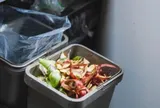 Trời nóng, làm sao để loại bỏ mùi hôi thùng rác nhanh chóng?