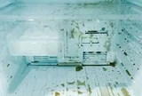 5 cách vệ sinh, khử mùi ngăn đá tủ lạnh