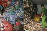Tiến hành kiểm tra, thu giữ 1.200 kg nội tạng, xương bò bẩn tại một cơ sở kinh doanh ở Hà Nội