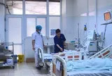 Bị rắn độc cắn khi đang ngủ ban đêm, bé 5 tuổi nguy kịch