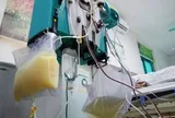 Người phụ nữ 27 tuổi "máu trắng như sữa", bác sĩ điểm mặt chỉ tên thói quen ăn uống "cực độc"