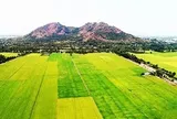 Ngôi làng ở VN mưa xuống có lúc nhặt được vàng: Khai quật hơn 100 cổ vật, 19 món thành bảo vật quốc gia