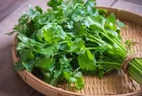 Những bài thuốc từ cây ngò rí