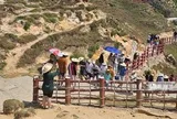 Tỉnh Gia Lai yêu cầu đơn vị quản lý, khai thác khu Eo gió tạm dừng việc tăng giá vé lên 127%