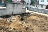 Đào móng xây nhà, phát hiện 3 “giếng cổ” chứa kho tiền nặng 5,6 tấn chôn dưới lòng đất suốt hơn 800 năm