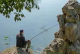 Cụ ông câu được "con rùa" lạ, chuyên gia kích động: Nó có giá trị hơn 6.500 tỷ đồng!