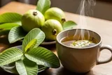 Uống 20 lá ổi mỗi ngày để chữa bệnh, người đàn ông Hà Nội nhận kết quả bất ngờ sau 3 tháng