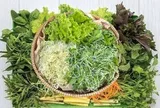 Vì sao người Việt ăn gì cũng phải có rau sống đi kèm?