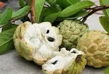 Những lưu ý khi ăn quả na, đặc biệt với hạt