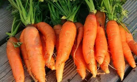 4 loại thực phẩm tích tụ cả kho vi nhựa, loại cuối cùng người Việt vẫn ăn hàng ngày