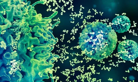 Chìa khoá phòng ngừa HPV: Tiêm chủng, tầm soát và điều trị kịp thời 0