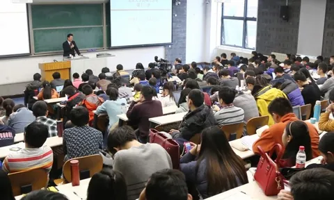 Tin vui cho những người học trái ngành