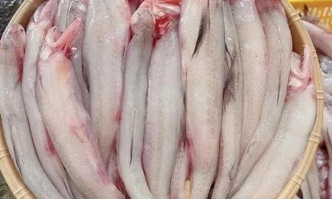 Phát hiện nhiều khu chợ bán cá cháo có chứa chất cấm