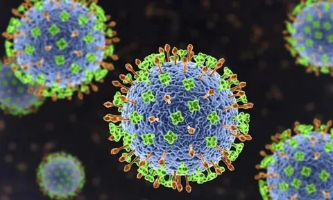 Chuyên gia: Virus Nipah khó lây lan rộng như COVID-19 0