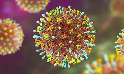 Bác sĩ chỉ dấu hiệu nhận biết và cách phòng tránh virus Nipah 1