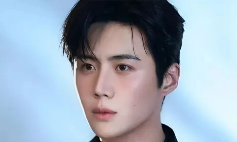 Mỹ nam Hàn Quốc thừa nhận trốn thuế