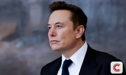 Elon Musk: 20 năm nữa AI sẽ hoàn toàn thay con người làm việc, đây là kỹ năng tất cả cần biết để sống sót