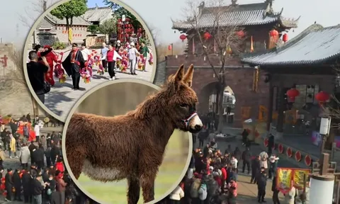 Ngôi làng cổ 600 năm tuổi tại Trung Quốc đổi đời nhờ đóng phim: Cả người và vật nuôi đều thành diễn viên