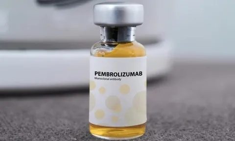 Thuốc Pembroria chứa Pembrolizumab điều trị được những loại ung thư nào? 0