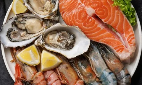 Top 7 loại hải sản phổ biến có hàm lượng thủy ngân thấp