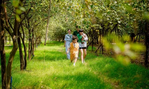 Du xuân 2026: Sơn Tiên giới thiệu Khu du lịch Đông Nam Bộ mang đậm sắc màu miệt vườn Nam Bộ