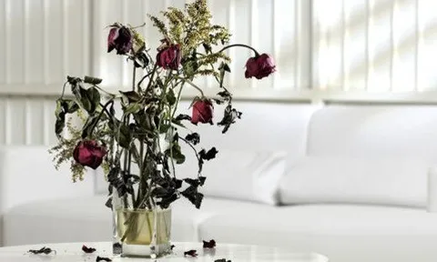 Sau Tết nhiều nhà mắc 5 lỗi phong thủy mà không biết: Bảo sao tiền bạc trôi tuồn tuột