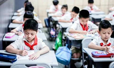 Vì sao học sinh đứng nhất lớp thường không phải người “thành đạt” nhất? “Hiệu ứng hạng 10” sẽ cho bạn câu trả lời!