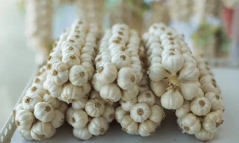 Gia vị dân dã của Việt Nam trồng tại nơi đặc biệt trở thành "vàng trắng": Giá đến 1,5 triệu đồng/kg