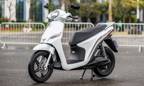 Xe máy điện giá dưới 40 triệu đồng phù hợp cho di chuyển trong đô thị 0