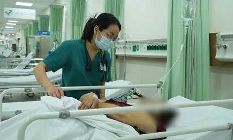 11 người nghi ngộ độc sau khi ăn bánh mì heo quay: Sở Y tế TP.HCM vào cuộc 0