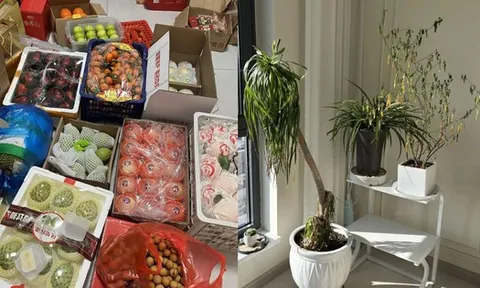 Dứt khoát vứt 5 "đống rác" trong nhà, cuộc sống tự khắc hanh thông, nhìn đâu cũng thấy cơ hội