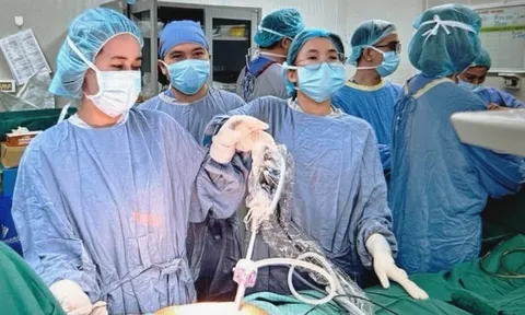 Đau bụng âm ỉ kèm vàng da nhẹ, đi khám phát hiện 2 bệnh ung thư cùng lúc 0