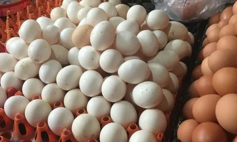 Mua trứng: Nên chọn quả to hay quả nhỏ? Người chăn nuôi tiết lộ đáp án