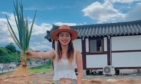 Thứ rau chợ Việt bán vài nghìn cả nắm, nấu món gì cũng thơm nhưng là "khắc tinh" của nhiều loại ung thư, "quét đường" trong máu