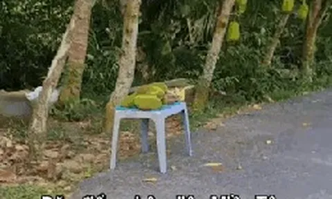 Lật tung mọi nơi chỉ miền Tây có "đặc sản" này