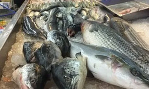 Hoa mắt trước quầy cá siêu thị: Nhân viên chỉ 3 loại "vô địch DHA", tốt cho não, giá vừa túi tiền