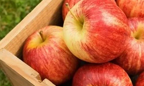 "Nuôi dạ dày chính là nuôi dưỡng sự sống": 5 loại thực phẩm "yêu thích" của niêm mạc dạ dày, nên ăn mỗi ngày, đừng tiếc!