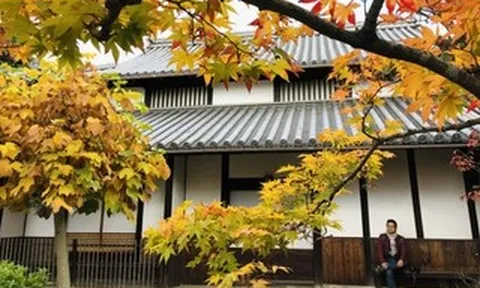 Bình yên Đông Kinh