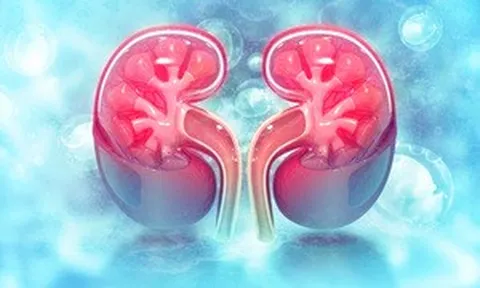 Muốn bảo vệ 2 quả thận, nhất định phải hạn chế 8 loại thực phẩm này