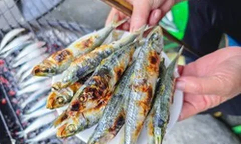 Loại cá nhiều omega-3 hơn cá hồi, được Mỹ đánh giá tốt bậc nhất thế giới: Ngư dân Việt coi là “lộc biển”