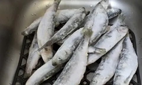 Bé trai 9 tuổi mắc ung thư máu vì thường xuyên ăn 1 loại cá, bác sĩ nhắc: 3 loại cá độc nên tránh xa