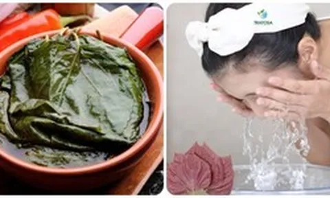 Rửa mặt bằng lá tía tô có tác dụng gì?