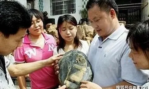 Nhặt viên đá có hoa văn lạ trên bãi biển, người đàn ông sững sờ khi chuyên gia định giá hơn 500 tỷ đồng