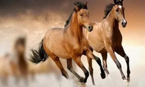 Chuyên gia dự báo: Từ giữa tháng 4/2026, 4 tuổi này có tín hiệu tài lộc khởi sắc, cơ hội tăng thu nhập rõ rệt